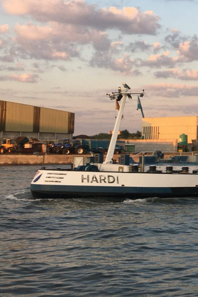 Hardi Mariliq Vertical